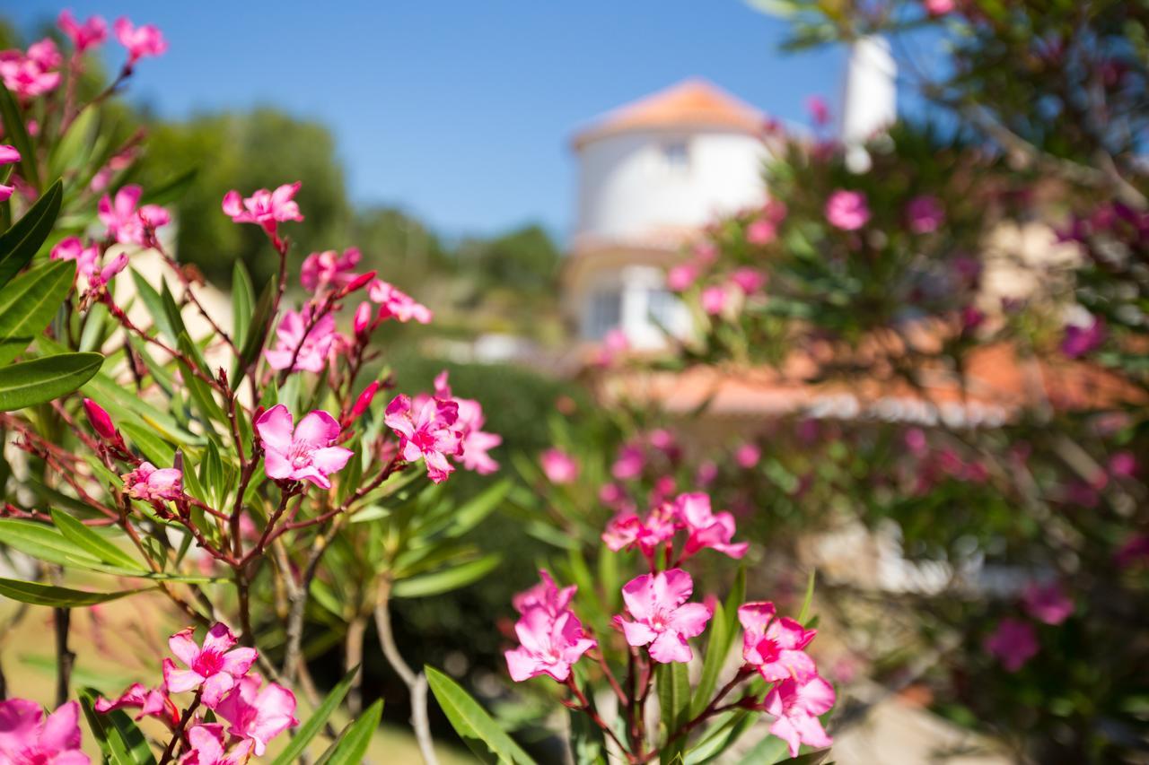 Quinta Do Cabo Guesthouse Azoia  Eksteriør billede